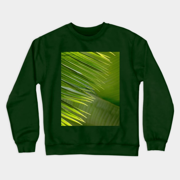 Tropical green palm fronds Crewneck Sweatshirt by iyd39